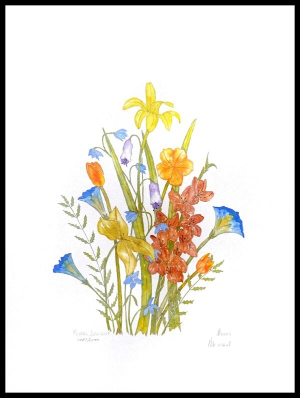 AIM 651 (S/N LIMITED EDITION)